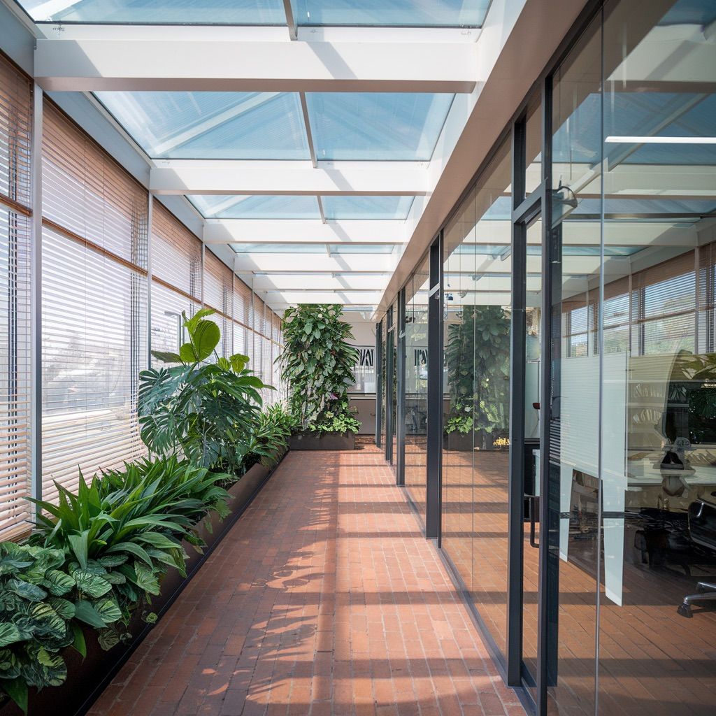 Light-Filled Office Corridor with Tropical Indoor Garden